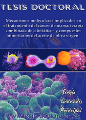 Tesis_Doctoral_0015.png