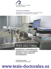 Tesis_Doctoral_0017.png