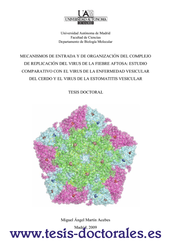 Tesis_Doctoral_0019.png
