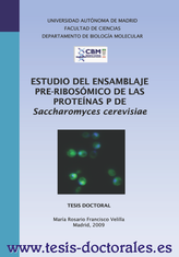 Tesis_Doctoral_0024.png