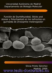 Tesis_Doctoral_0025.png