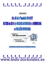 Tesis_Doctoral_0032.png