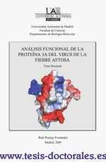 Tesis_Doctoral_0039.png