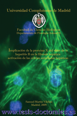 Tesis_Doctoral_0049.png