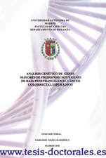 Tesis_Doctoral_0060.png