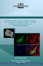 Tesis_Doctoral_0062.png