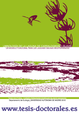 Tesis_Doctoral_0073.png