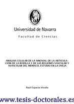 Tesis_Doctoral_0077.png