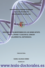 Tesis_Doctoral_0079.png