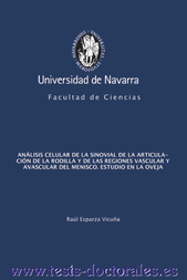Tesis_Doctoral_0104.png