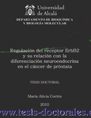 Tesis_Doctoral_0115.png