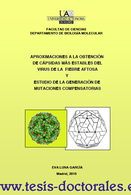 Tesis_Doctoral_0119.png