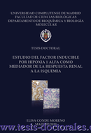 Tesis_Doctoral_0122.png