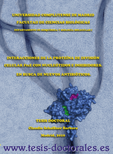 Tesis_Doctoral_0124.png