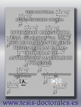 Tesis_Doctoral_0125.png