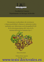 Tesis_Doctoral_0127.png