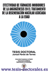 Tesis_Doctoral_0134.png