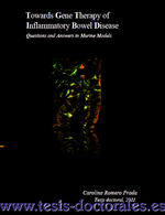 Tesis_Doctoral_0144.png