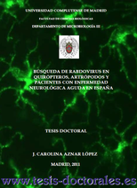 Tesis_Doctoral_0156.png