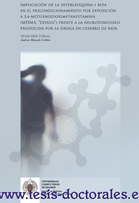Tesis_Doctoral_0163.png