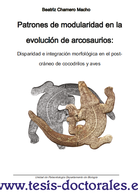 Tesis_Doctoral_0171.png