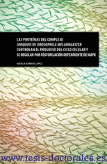 Tesis_Doctoral_0174.png
