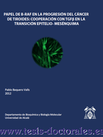 Tesis_Doctoral_0175.png