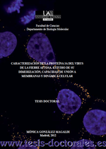 Tesis_Doctoral_0189.png