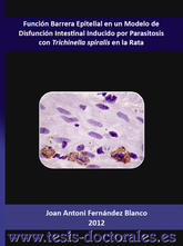 Tesis_Doctoral_0194.png