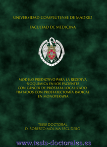 Tesis_Doctoral_0198.png