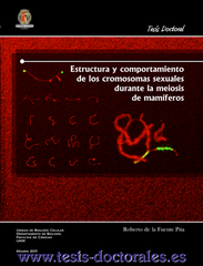 Tesis_Doctoral_9131.png