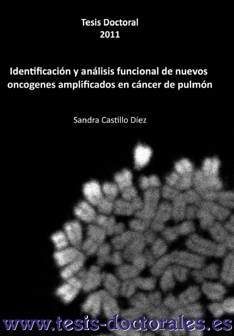 Visualización de una portada de una tesis doctoral