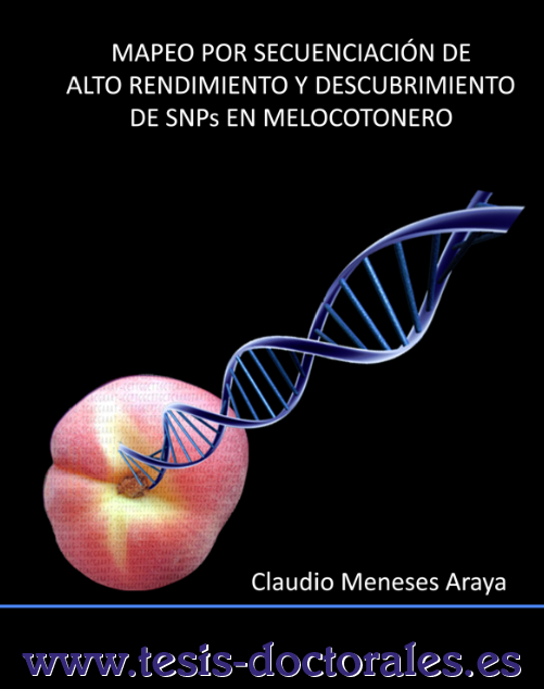 Visualización de una portada de una tesis doctoral