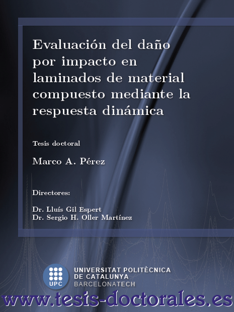 Visualización de una portada de una tesis doctoral