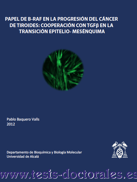 Visualización de una portada de una tesis doctoral