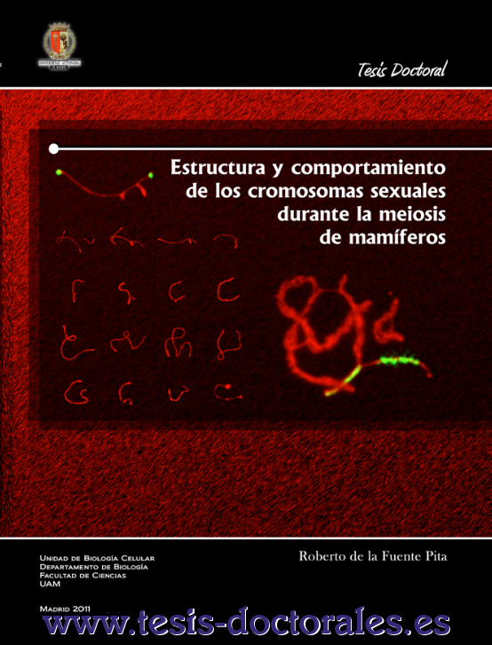 Visualización de una portada de una tesis doctoral